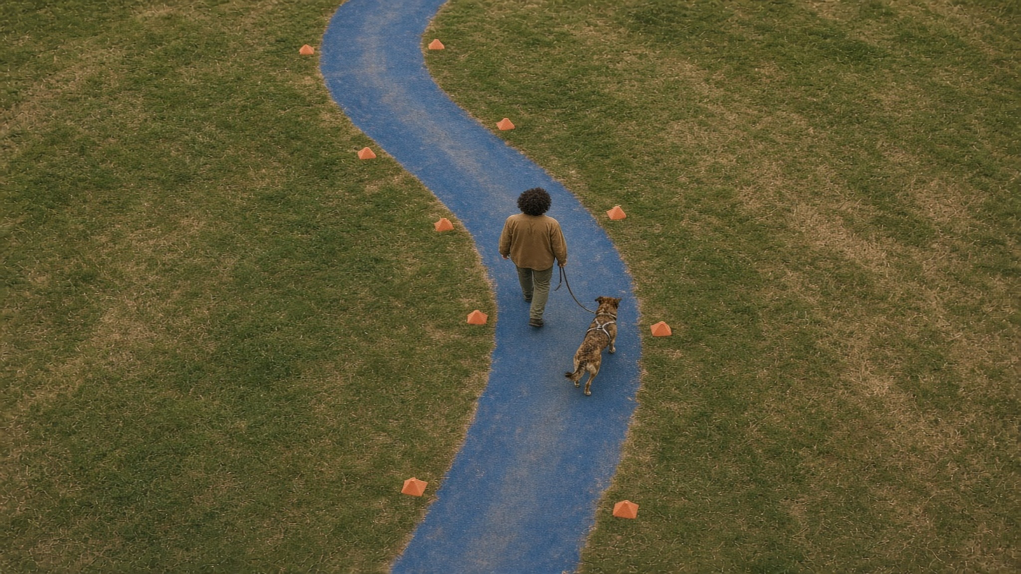 A handler and dog walking a broad curved practice line